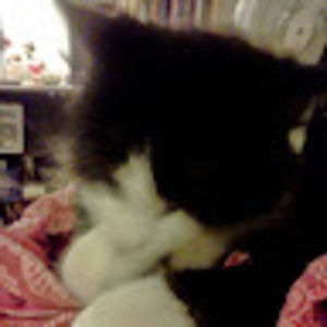 Meet your Posher, Victoria